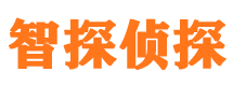 金台市侦探公司